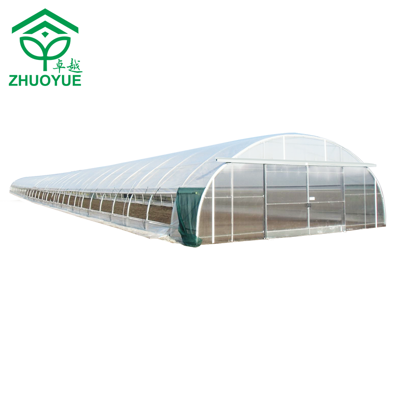 CHOYUEH Chinese Factory made low cost Easy and simple to handle Galvanized Steel Frame greenhouse with water filtration system
