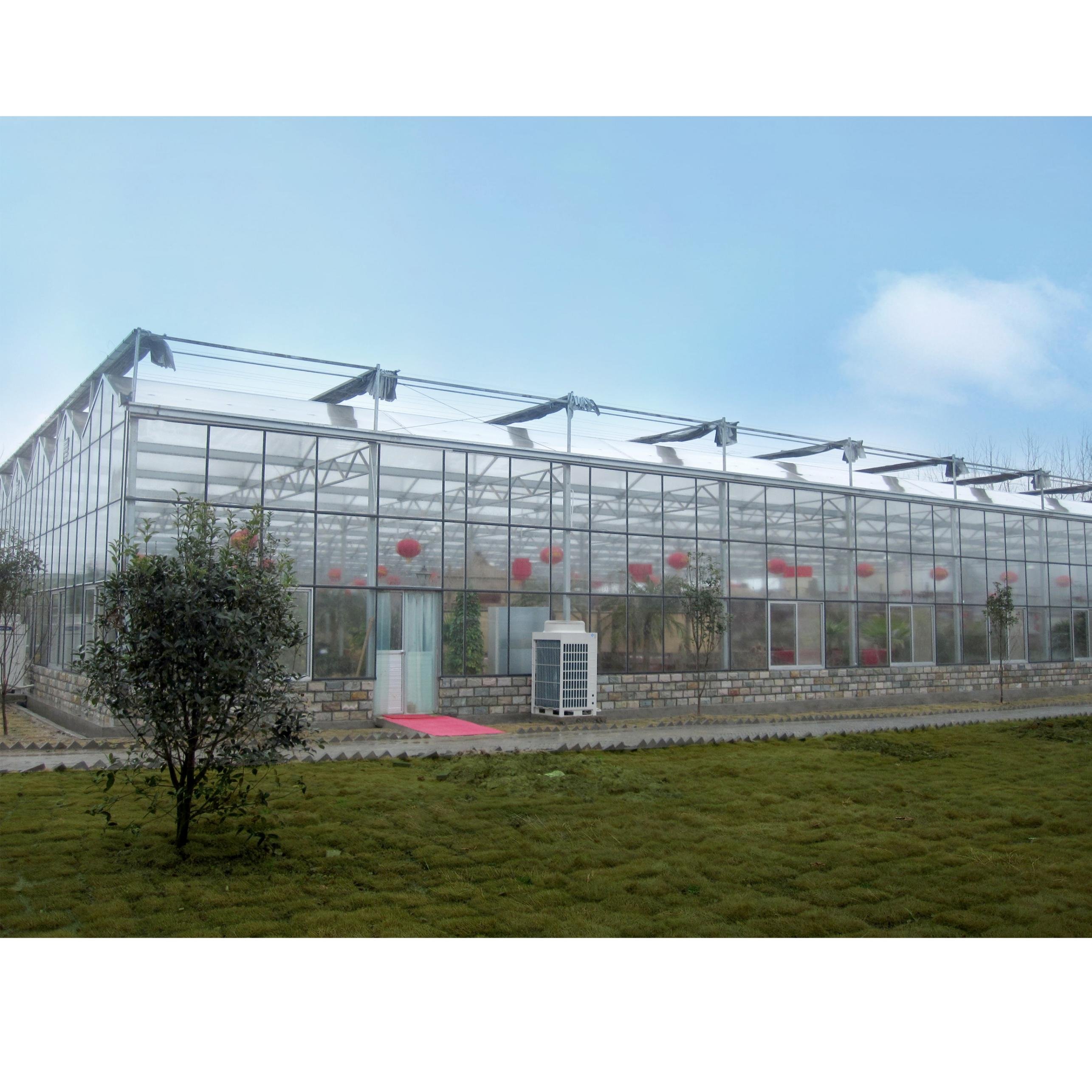 Venlo Fiberglass Agricultural Greenhouse For Sale Multi-Span Green House For Tomato