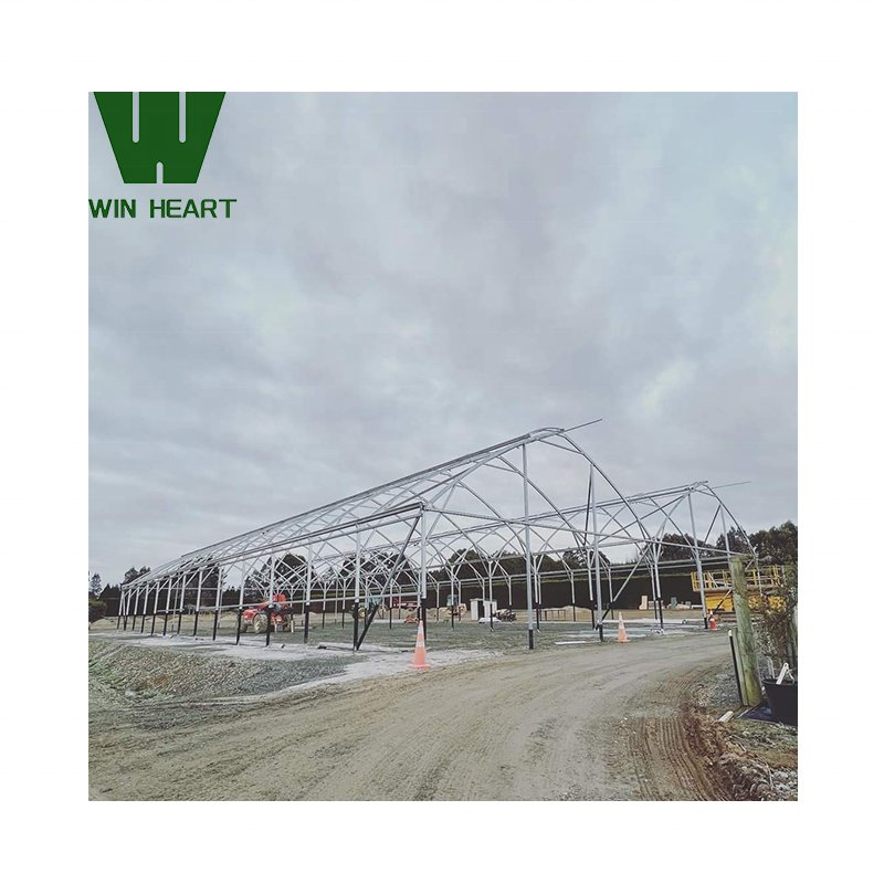 High Light Transmission Film greenhouses Greenhouse Cover