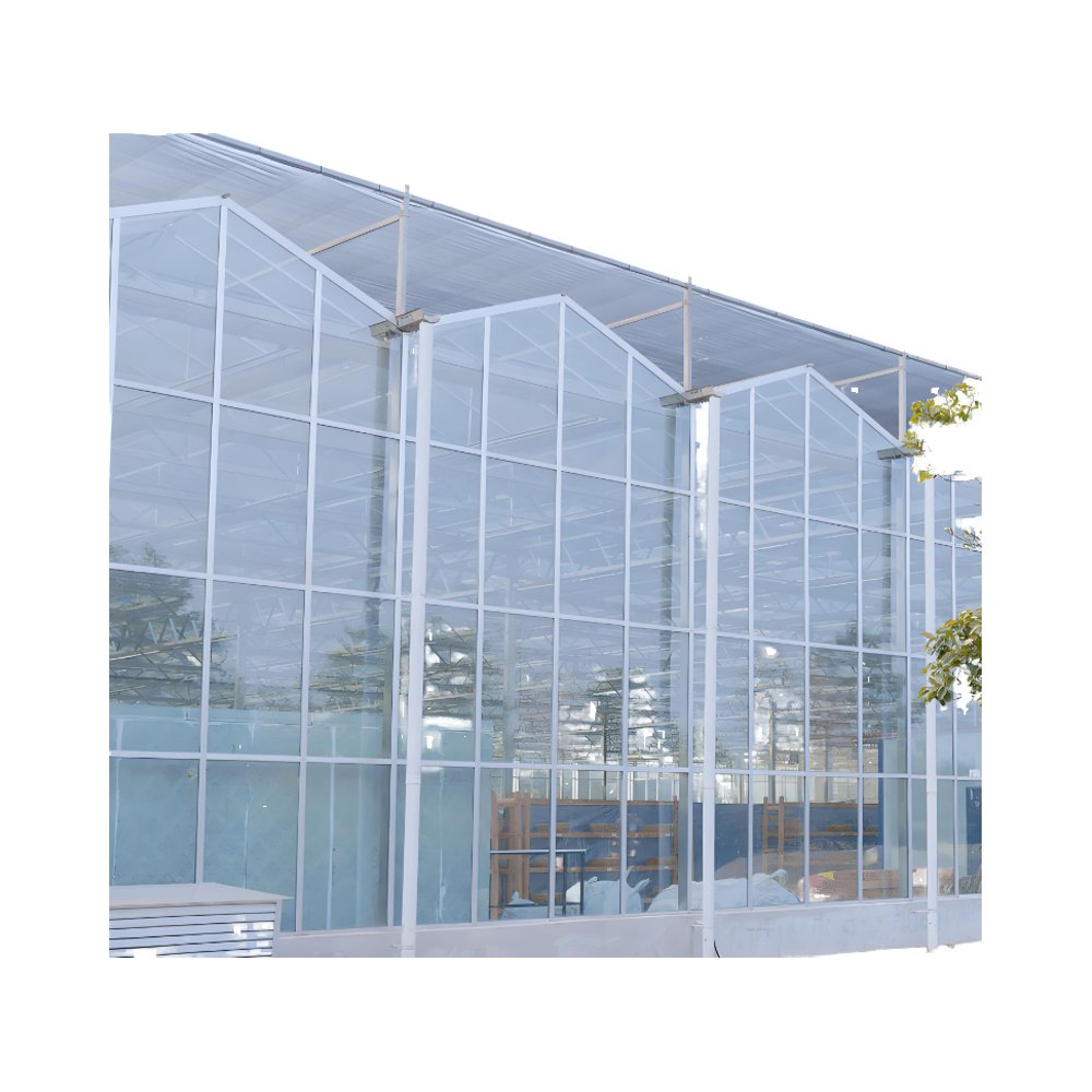Professional Manufacturer's Hydroponic Frame Structure Steel Film Agricultural Planting Garden Use Multi-Span Glass Greenhouse