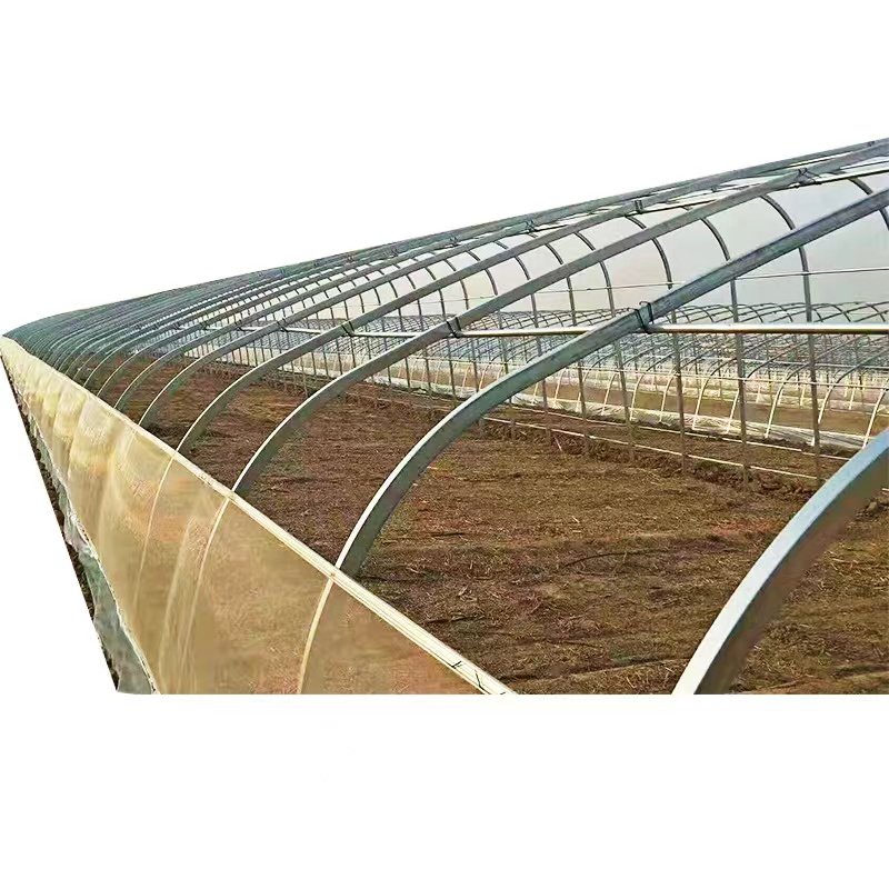 Low cost agricultural single-span plastic tunnel film greenhouse