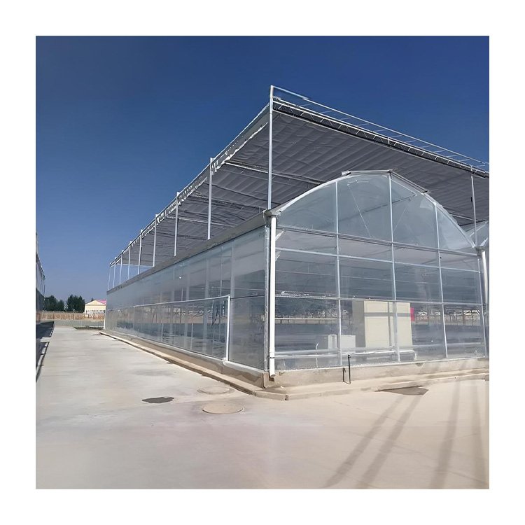 Wholesale Price Waterproof Plastic Sheet Film Agricultural Greenhouse Film Commercial Greenhouse Plastic Film