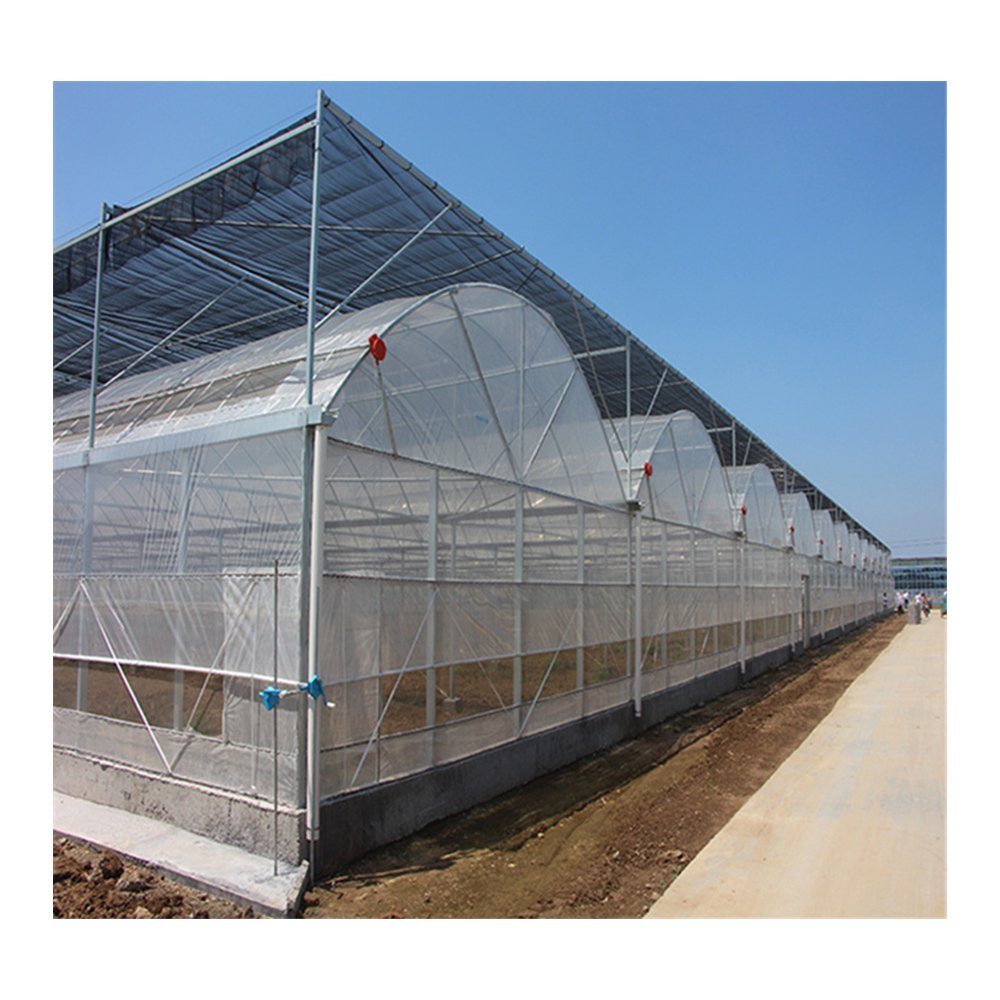 Film Greenhouse Factory Price Multi-Span Agricultural Green House With Top Rack Vents