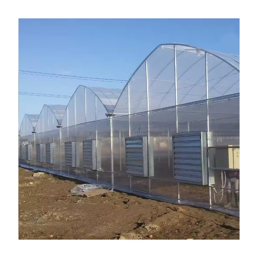 Film Greenhouse Factory Price Multi-Span Agricultural Green House With Top Rack Vents