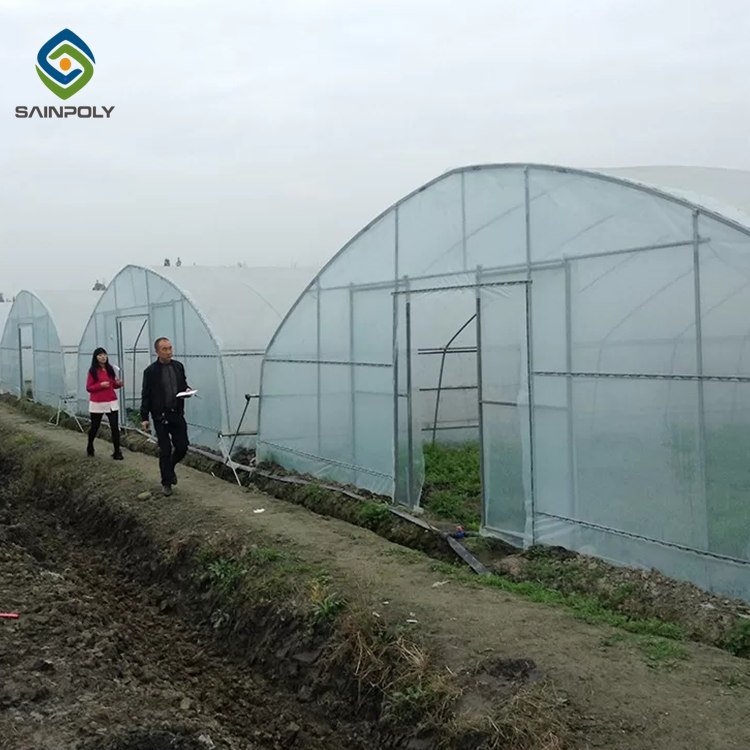 Sainpoly Cost-Effective Agricultural Tunnel Greenhouse Design for Crop Growth