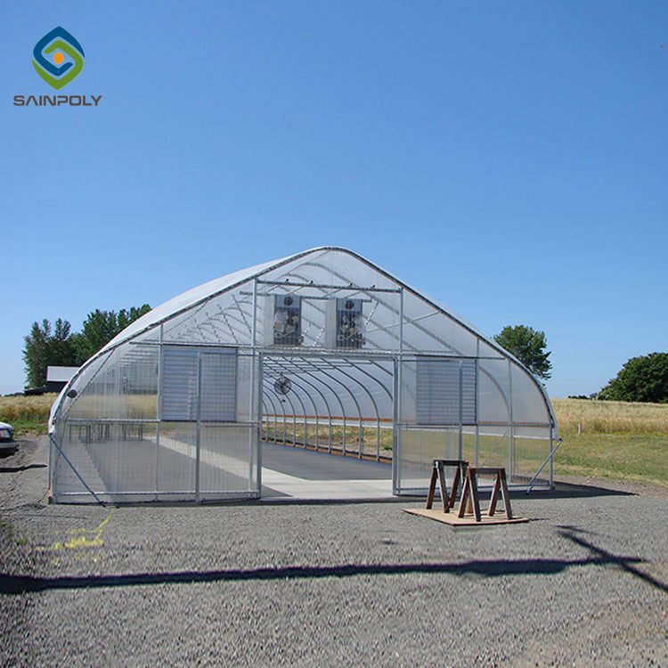Sainpoly Cost-Effective Agricultural Tunnel Greenhouse Design for Crop Growth