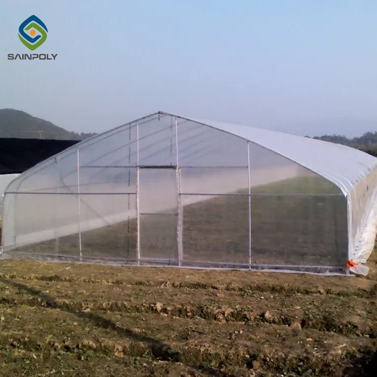 Sainpoly Cost-Effective Agricultural Tunnel Greenhouse Design for Crop Growth