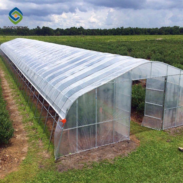 Sainpoly Cost-Effective Agricultural Tunnel Greenhouse Design for Crop Growth