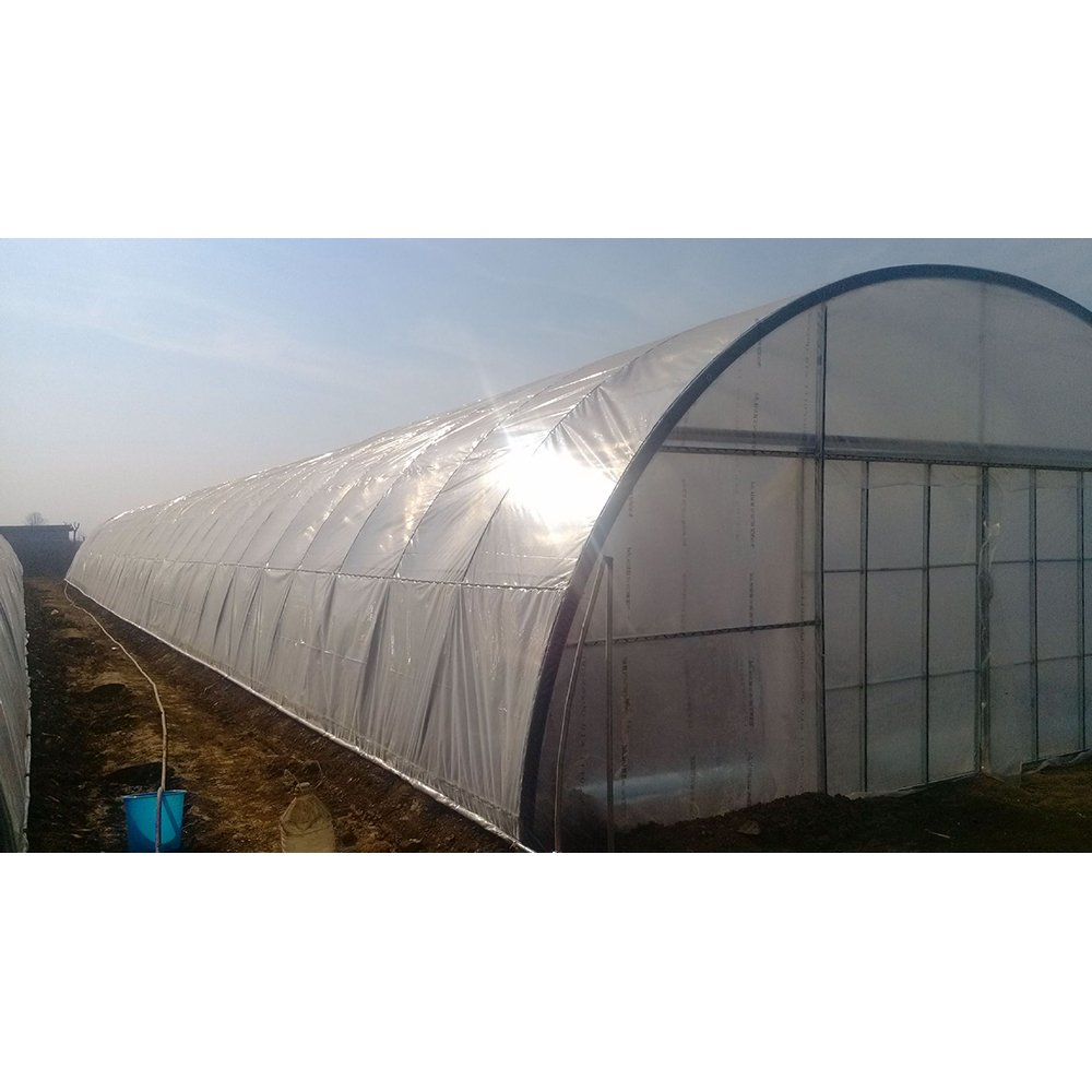 Single Span Polytunnel Tunnel Agricultural Greenhouse