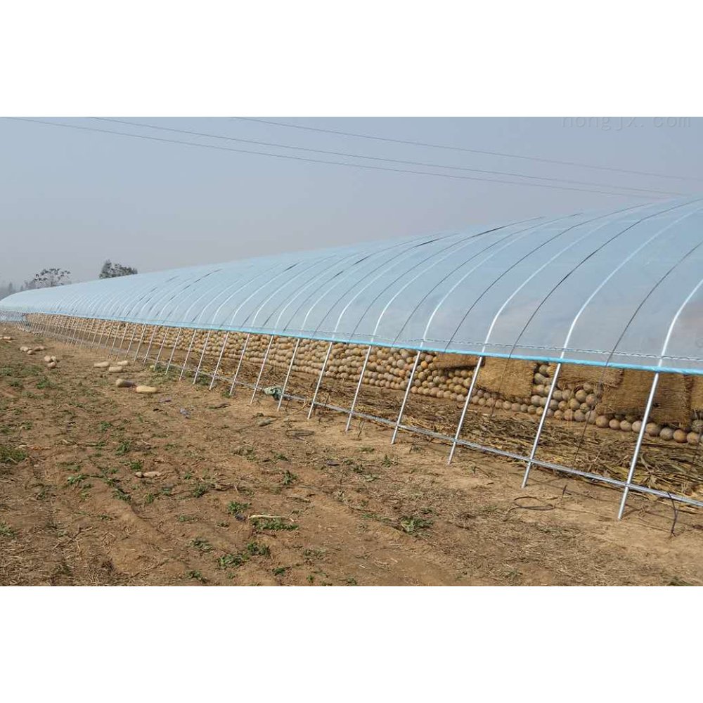 Single Span Polytunnel Tunnel Agricultural Greenhouse