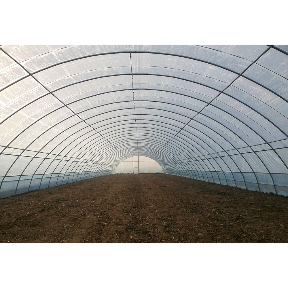 Single Span Polytunnel Tunnel Agricultural Greenhouse