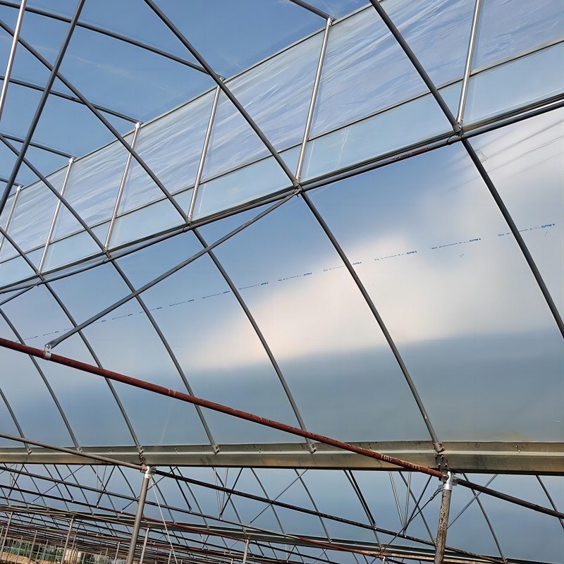 Hot Selling Stable Function PE Film Agricultural Greenhouse Economical Low-Cost Tunnel for Agriculture