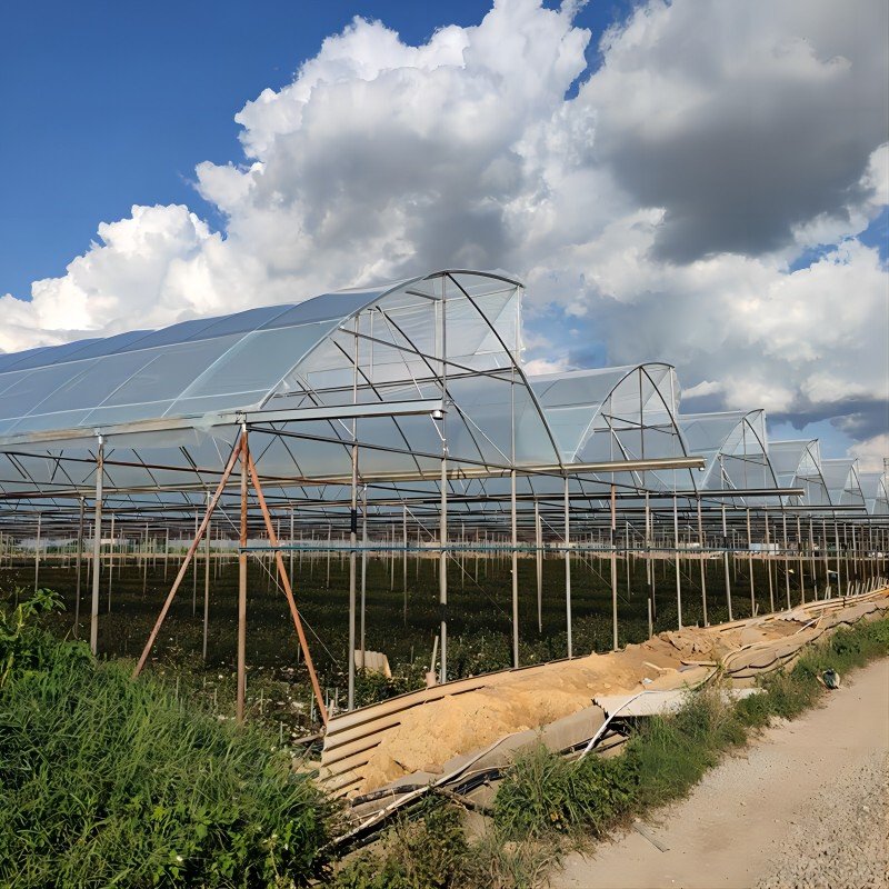 Hot Selling Stable Function PE Film Agricultural Greenhouse Economical Low-Cost Tunnel for Agriculture