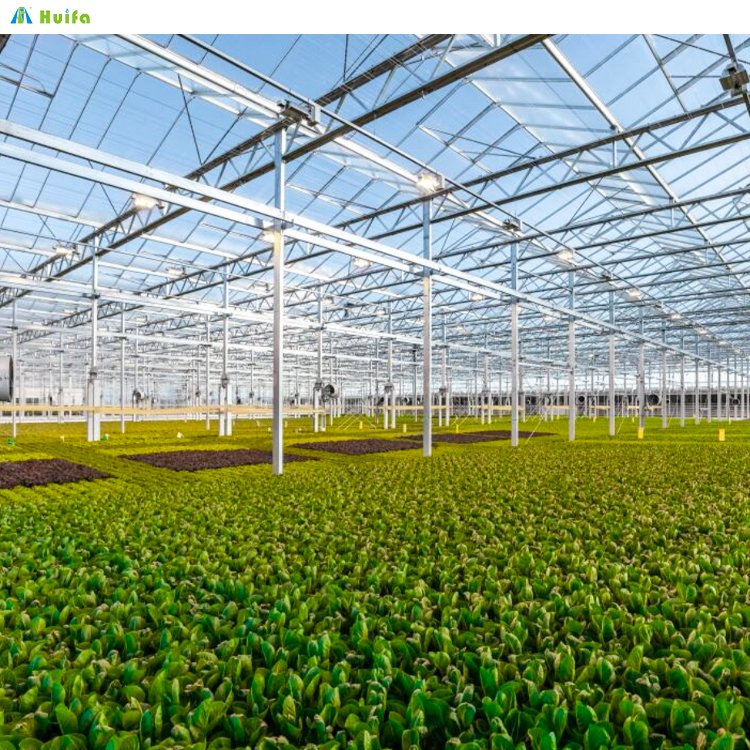 Poly Tunnel Grow Plant Multi-Span Agricultural Greenhouse With Shade Net Glass Green House For Vegetable