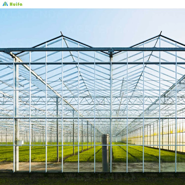 Poly Tunnel Grow Plant Multi-Span Agricultural Greenhouse With Shade Net Glass Green House For Vegetable