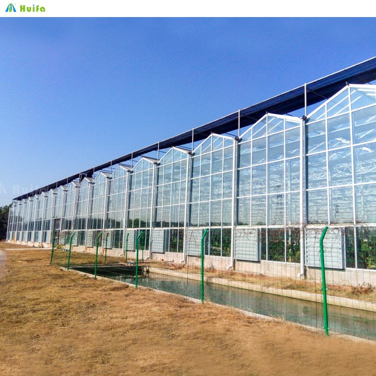 Poly Tunnel Grow Plant Multi-Span Agricultural Greenhouse With Shade Net Glass Green House For Vegetable