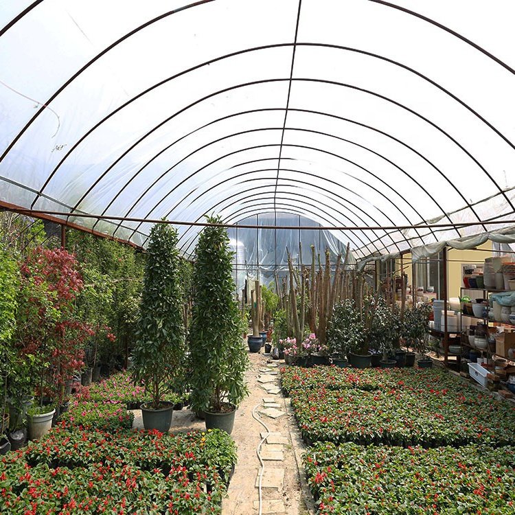High strength commercial plastic agriculture PE membrane tunnel greenhouse flower vegetable frame greenhouse