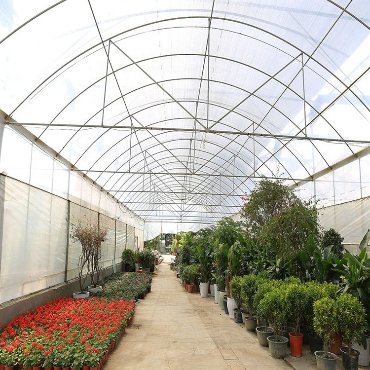 High strength commercial plastic agriculture PE membrane tunnel greenhouse flower vegetable frame greenhouse