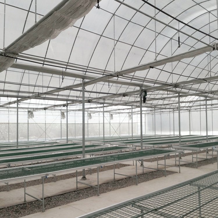 High strength commercial plastic agriculture PE membrane tunnel greenhouse flower vegetable frame greenhouse