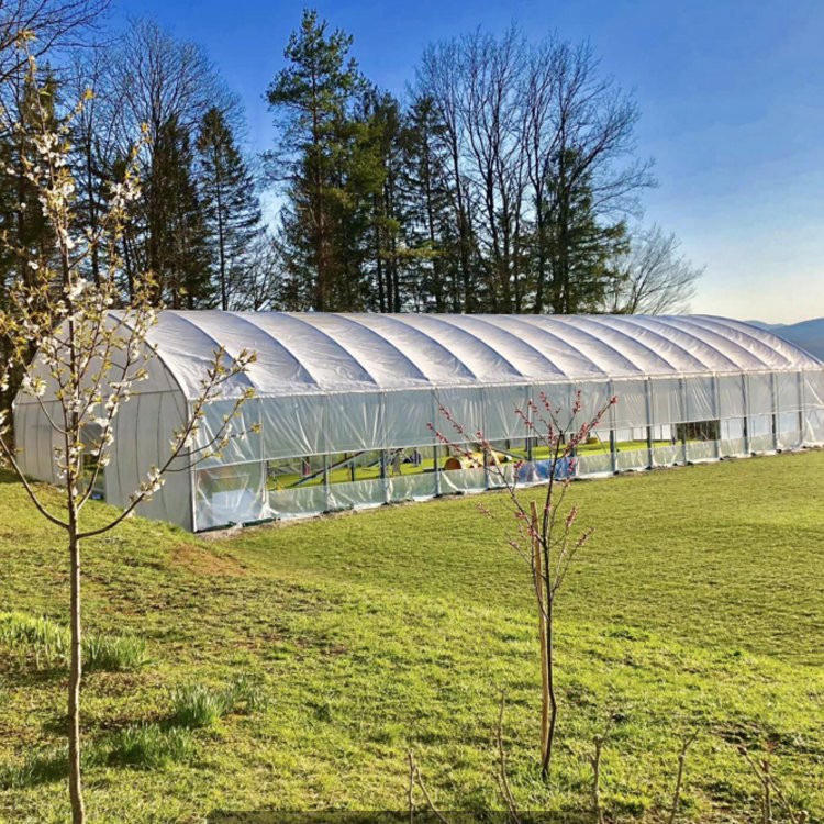 High strength commercial plastic agriculture PE membrane tunnel greenhouse flower vegetable frame greenhouse