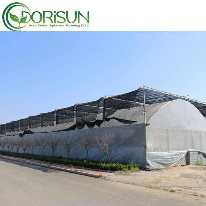Cheap Large Green House Metal Frame Single span Greenhouses China Tomato Agriculture Greenhouse
