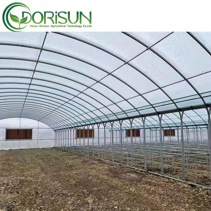 Cheap Large Green House Metal Frame Single span Greenhouses China Tomato Agriculture Greenhouse