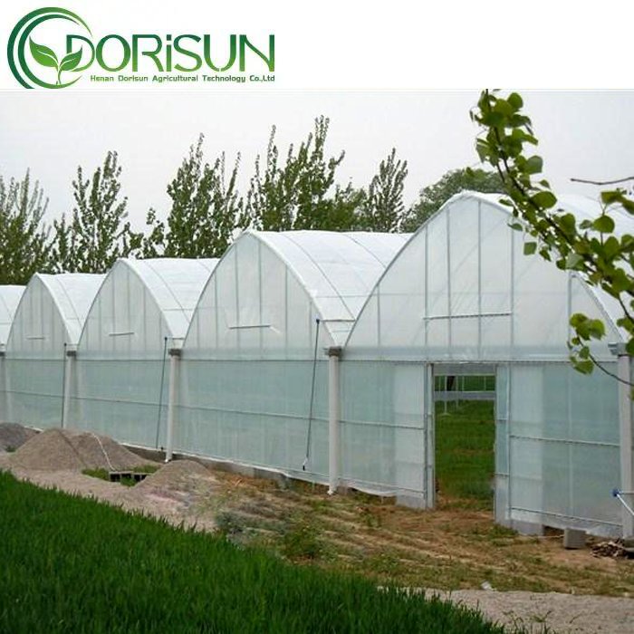 Cheap Large Green House Metal Frame Single span Greenhouses China Tomato Agriculture Greenhouse