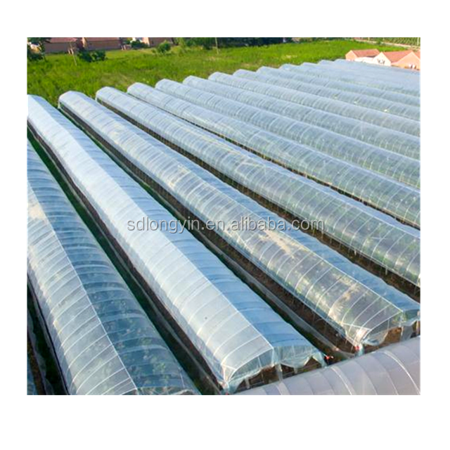 commerical plastic vegetable greenhouse film Diffuse scattering film Agricultural