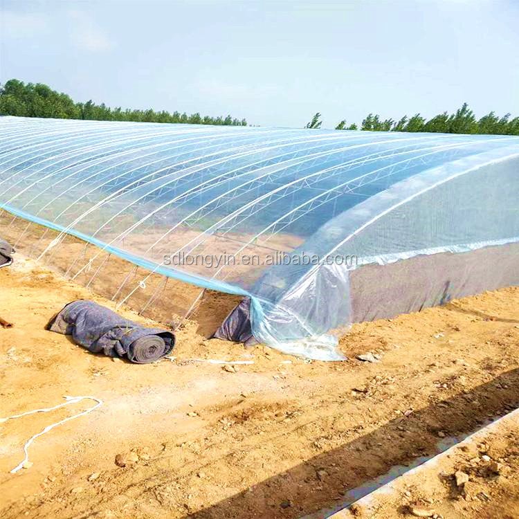 commerical plastic vegetable greenhouse film Diffuse scattering film Agricultural