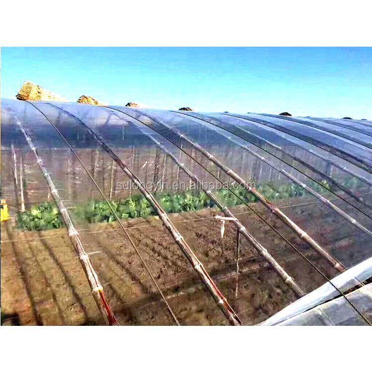commerical plastic vegetable greenhouse film Diffuse scattering film Agricultural