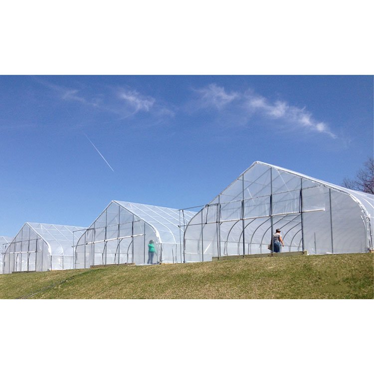 High Strength Commercial Agricultural Poly Tunnel Single-Span Green House Plastic Film Greenhouse