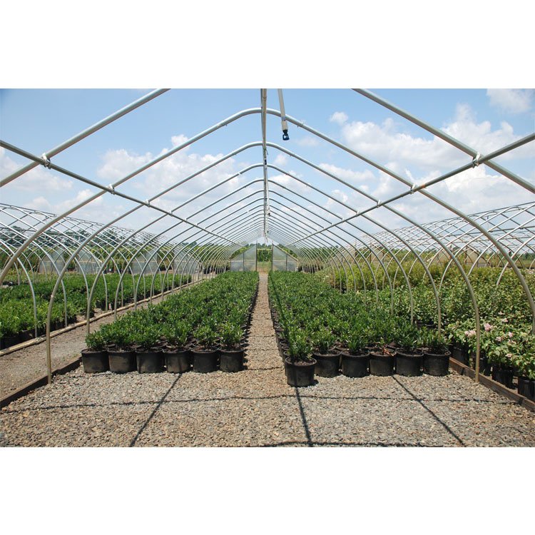 High Strength Commercial Agricultural Poly Tunnel Single-Span Green House Plastic Film Greenhouse