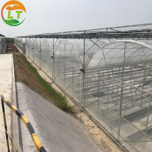 Best-selling Greenhouse Multi-span Greenhouse Planting Agricultural Crops Film Cover Large Large Houses Large Planters Plastic