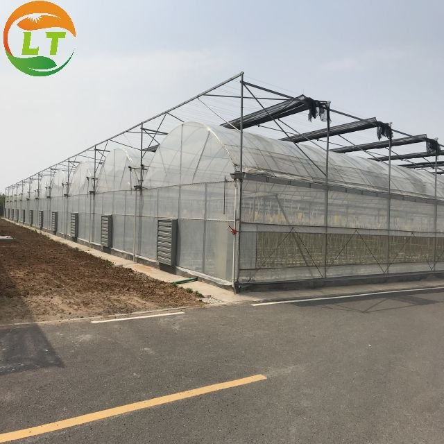 Best-selling Greenhouse Multi-span Greenhouse Planting Agricultural Crops Film Cover Large Large Houses Large Planters Plastic
