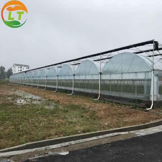 Best-selling Greenhouse Multi-span Greenhouse Planting Agricultural Crops Film Cover Large Large Houses Large Planters Plastic