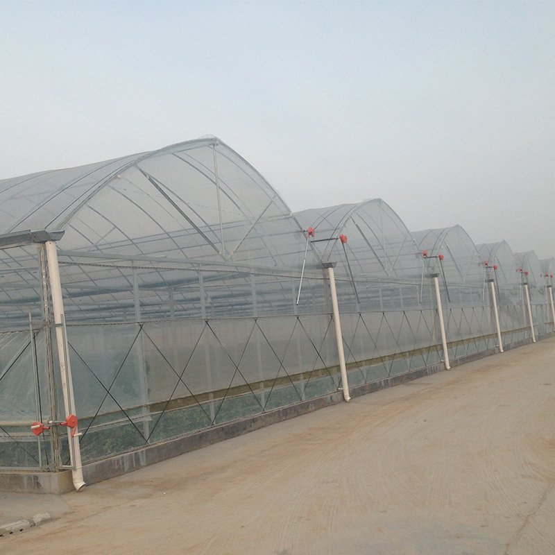 Best-selling Greenhouse Multi-span Greenhouse Planting Agricultural Crops Film Cover Large Large Houses Large Planters Plastic