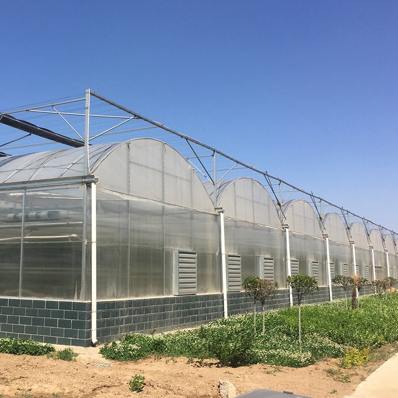 Best-selling Greenhouse Multi-span Greenhouse Planting Agricultural Crops Film Cover Large Large Houses Large Planters Plastic