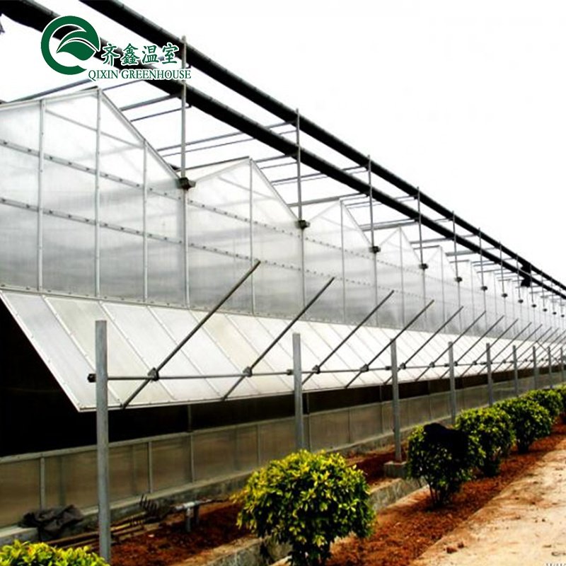 High quality hydroponics fodder growing systems pc sheet green house