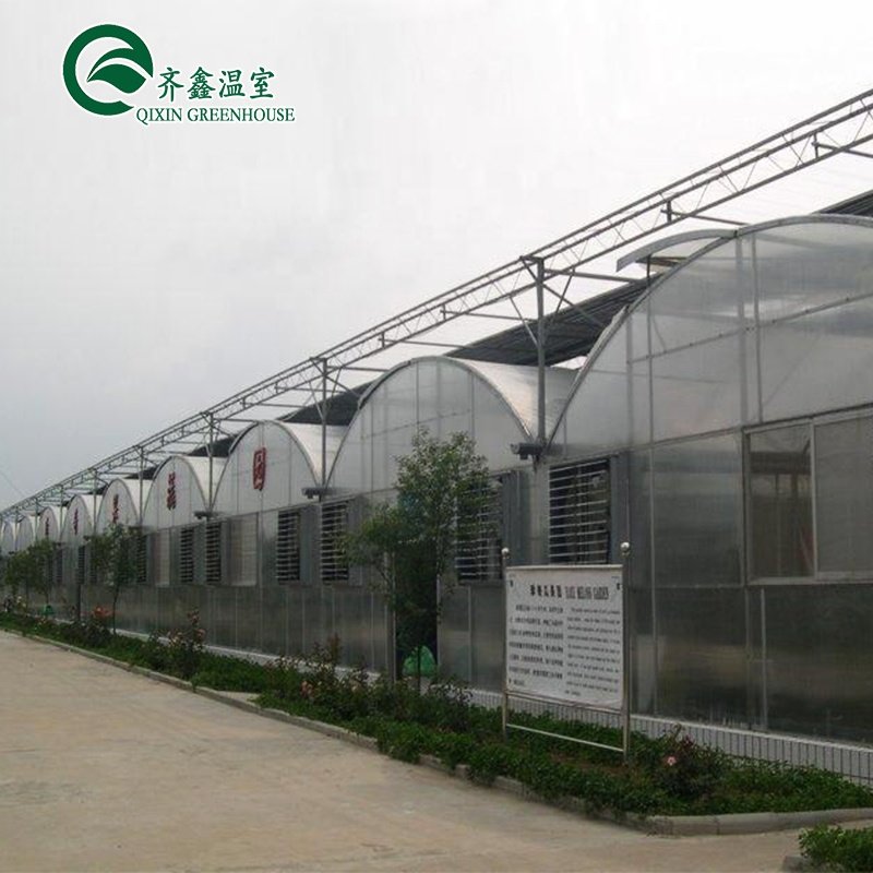 High quality hydroponics fodder growing systems pc sheet green house