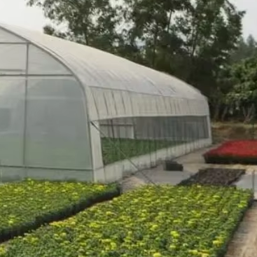 40 Mesh Agricultural Greenhouse Insect Net Effective in Preventing Insect Entry