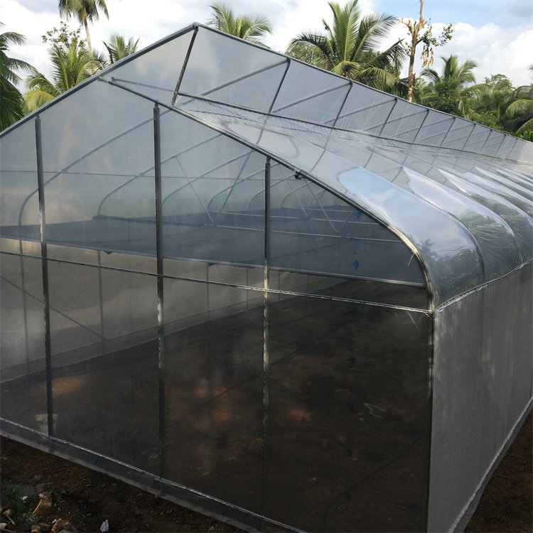 Butterfly Type Agricultural Tunnel Single-span Greenhouse Fully Automated Blackout Greenhouse Vegetable and Fruits Planting