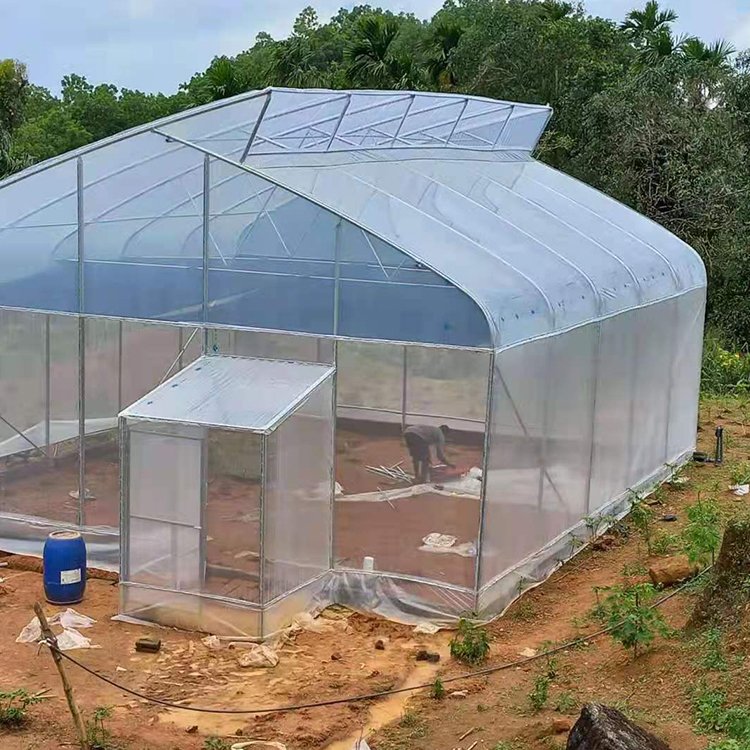 Butterfly Type Agricultural Tunnel Single-span Greenhouse Fully Automated Blackout Greenhouse Vegetable and Fruits Planting