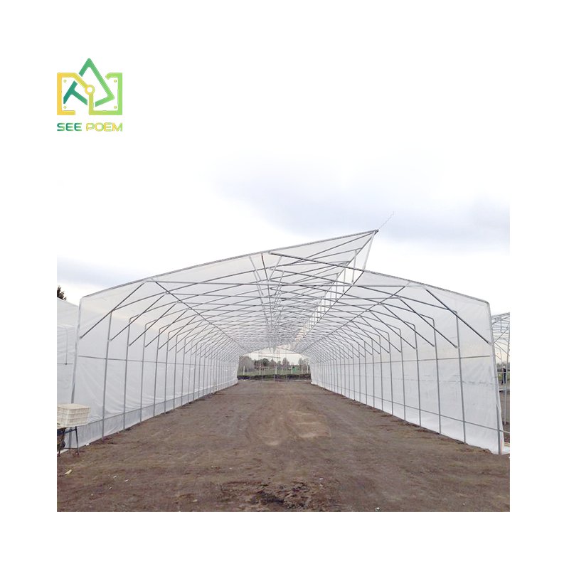 Butterfly Type Agricultural Tunnel Single-span Greenhouse Fully Automated Blackout Greenhouse Vegetable and Fruits Planting