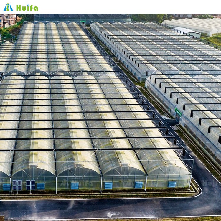 Agriculture Commercial Greenhouse Tunnel Greenhouse Strawberry Multispan Green House Grow Equipment For Sale
