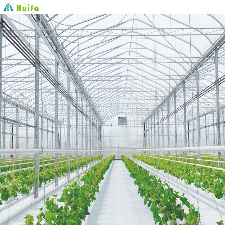 Agriculture Commercial Greenhouse Tunnel Greenhouse Strawberry Multispan Green House Grow Equipment For Sale