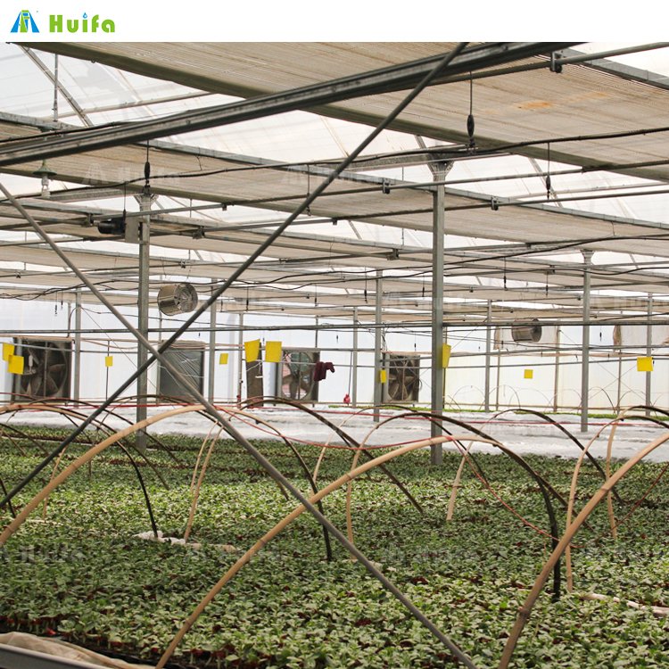Agriculture Commercial Greenhouse Tunnel Greenhouse Strawberry Multispan Green House Grow Equipment For Sale
