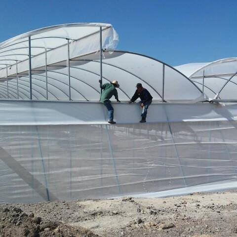 Good Quality And Easily Installed Agricultural Commercial Green House Greenhouse