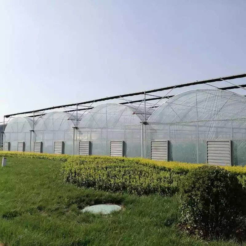 Chinese Agriculture Multi-Span Arch Plastic Film Greenhouse Double Layer Tunnel Shed for Tomato and Strawberry Easily Assembled
