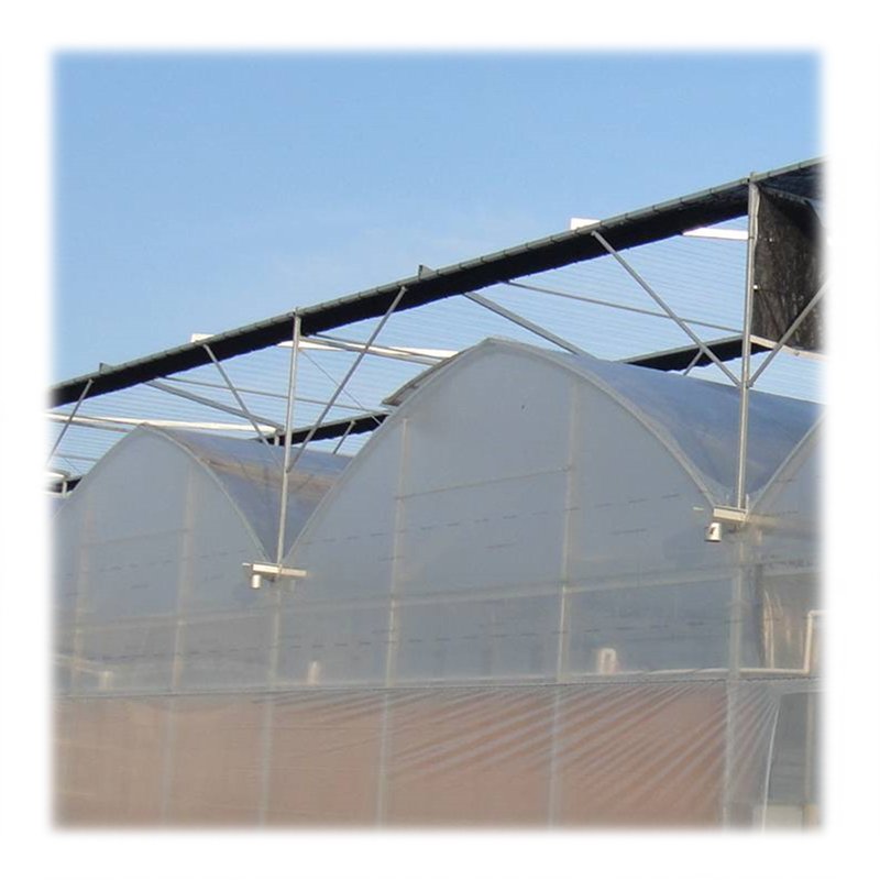 Large Size Low Cost High Tunnel Agricultural Greenhouse for tomato growing vegetable green farm house