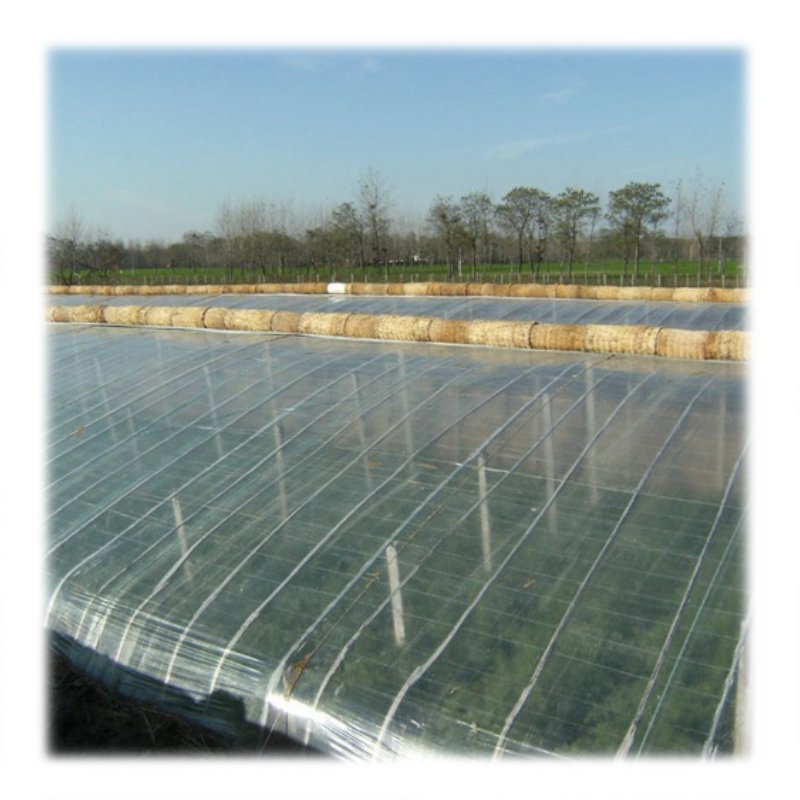 Large Size Low Cost High Tunnel Agricultural Greenhouse for tomato growing vegetable green farm house